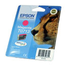 Epson Stylus DX6000 OE T0713